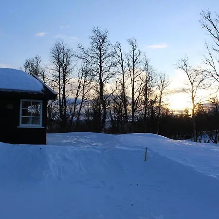 Holiday home Sigurdhytta Al