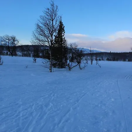 Holiday home Sigurdhytta Al