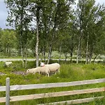 Sigurdhytta *