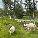 Sigurdhytta *