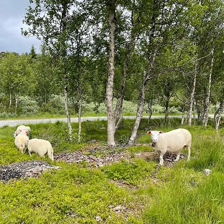 Sigurdhytta