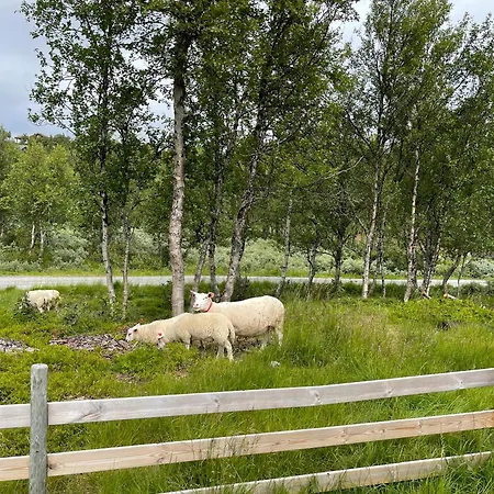 Sigurdhytta *
