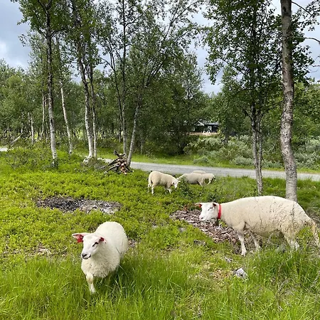 Sigurdhytta *